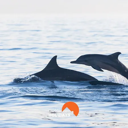 #151 Kid Friendly, Ac With Pool And Golf Course Apartment *